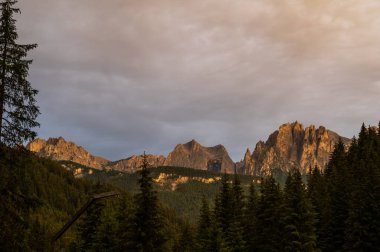 Alplerin güzel manzarası, Passo San Pellegrino, Kuzey İtalya