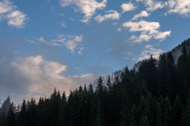 Alplerin güzel manzarası, Passo San Pellegrino, Kuzey İtalya