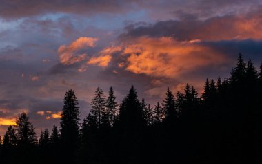 Alplerin güzel manzarası, Passo San Pellegrino, Kuzey İtalya