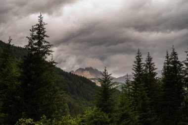 Alplerin güzel manzarası, Passo San Pellegrino, Kuzey İtalya