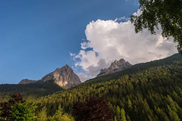 Bela Paisagem Cênica Dos Alpes Passo San Pellegrino Norte Itália — Fotografia de Stock