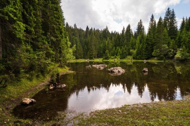 Alplerin güzel manzarası, Passo San Pellegrino, Kuzey İtalya