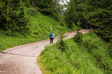 Alplerin güzel manzarası, Passo San Pellegrino, Kuzey İtalya