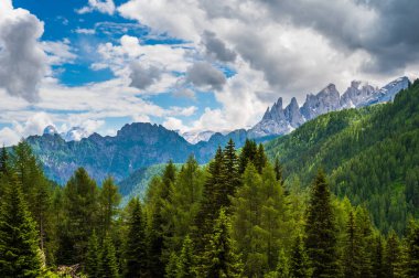 Alplerin güzel manzarası, Passo San Pellegrino, Kuzey İtalya