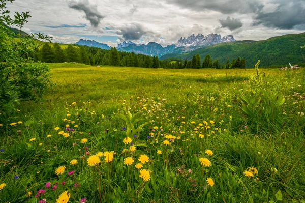 Vackert Landskap Alperna Passo San Pellegrino Norditalien — Stockfoto