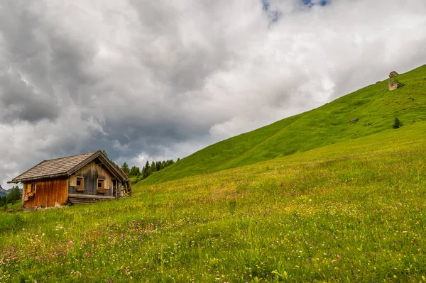 Beau Paysage Pittoresque Des Alpes Passo San Pellegrino Italie Nord — Photo