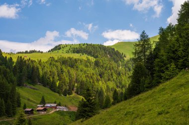 Alplerin güzel manzarası, Passo San Pellegrino, Kuzey İtalya