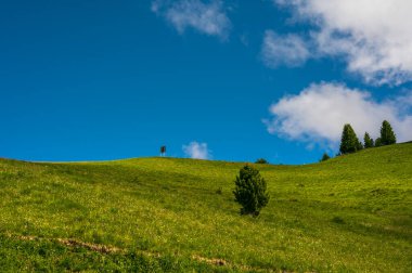 Alplerin güzel manzarası, Passo San Pellegrino, Kuzey İtalya