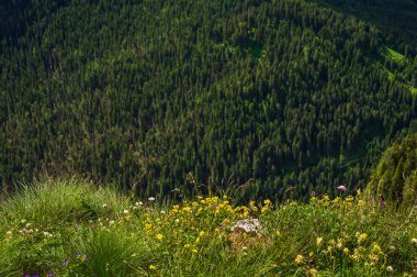 Alplerin güzel manzarası, Passo San Pellegrino, Kuzey İtalya