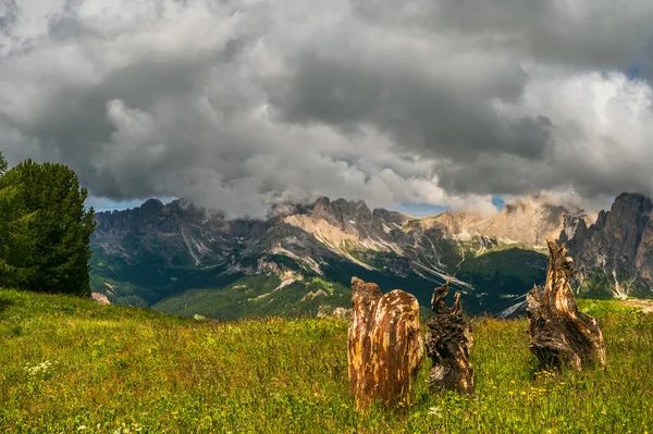 アルプス パスソ ペレグリノ 北イタリアの美しい風景 — ストック写真