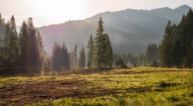 Alplerin güzel manzarası, Passo San Pellegrino, Kuzey İtalya