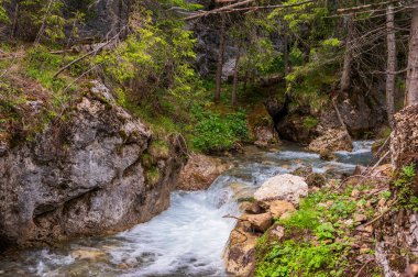 Alplerin güzel manzarası, Passo San Pellegrino, Kuzey İtalya