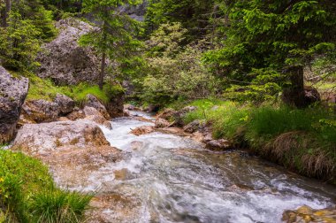 Alplerin güzel manzarası, Passo San Pellegrino, Kuzey İtalya