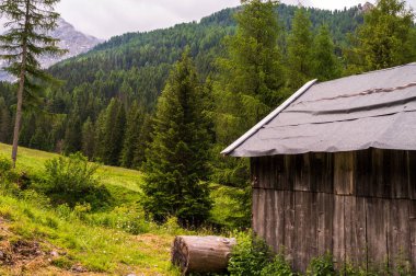 Alplerin güzel manzarası, Passo San Pellegrino, Kuzey İtalya
