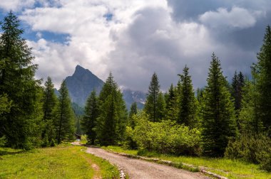 Alplerin güzel manzarası, Passo San Pellegrino, Kuzey İtalya