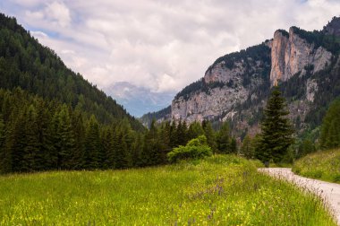 Alplerin güzel manzarası, Passo San Pellegrino, Kuzey İtalya