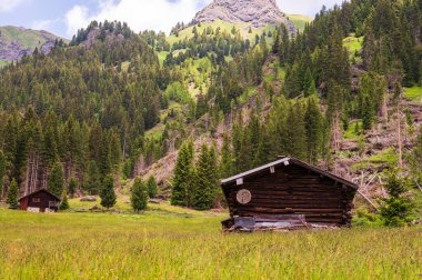 Alplerin güzel manzarası, Passo San Pellegrino, Kuzey İtalya