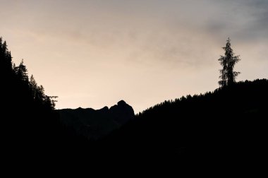 Alplerin güzel manzarası, Passo San Pellegrino, Kuzey İtalya