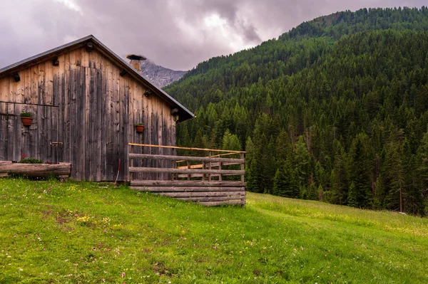 Beau Paysage Pittoresque Des Alpes Passo San Pellegrino Italie Nord — Photo