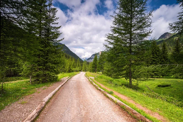 Όμορφο Γραφικό Τοπίο Των Άλπεων Passo San Pellegrino Βόρεια Ιταλία — Φωτογραφία Αρχείου