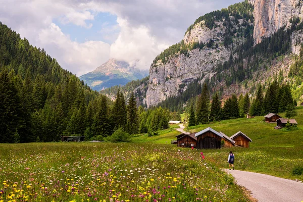 Przepiękny Krajobraz Alp Passo San Pellegrino Północne Włochy — Zdjęcie stockowe