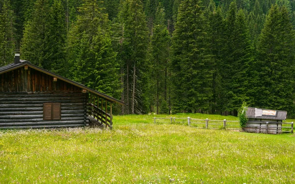 Όμορφο Γραφικό Τοπίο Των Άλπεων Passo San Pellegrino Βόρεια Ιταλία — Φωτογραφία Αρχείου