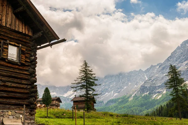 Wunderschöne Landschaft Der Alpen Passo San Pellegrino Norditalien Stockfoto