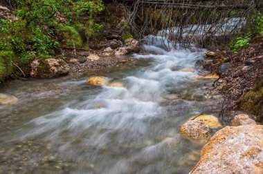 Alplerin güzel manzarası, Passo San Pellegrino, Kuzey İtalya