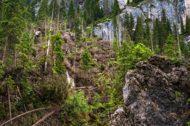Alplerin güzel manzarası, Passo San Pellegrino, Kuzey İtalya