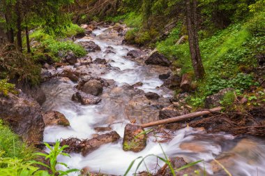 Alplerin güzel manzarası, Passo San Pellegrino, Kuzey İtalya