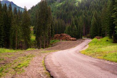 Alplerin güzel manzarası, Passo San Pellegrino, Kuzey İtalya