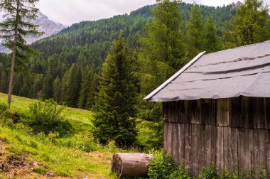 Alplerin güzel manzarası, Passo San Pellegrino, Kuzey İtalya