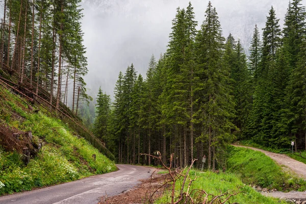 Beautiful Scenic Landscape Alps Passo San Pellegrino North Italy — Stock Photo, Image