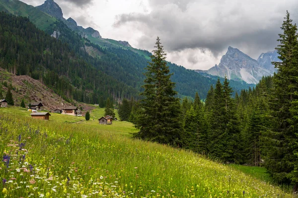 Krásná Malebná Krajina Alp Passo San Pellegrino Severní Itálie — Stock fotografie