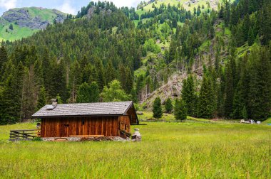 Alplerin güzel manzarası, Passo San Pellegrino, Kuzey İtalya
