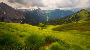Alplerin güzel manzarası, Passo San Pellegrino, Kuzey İtalya