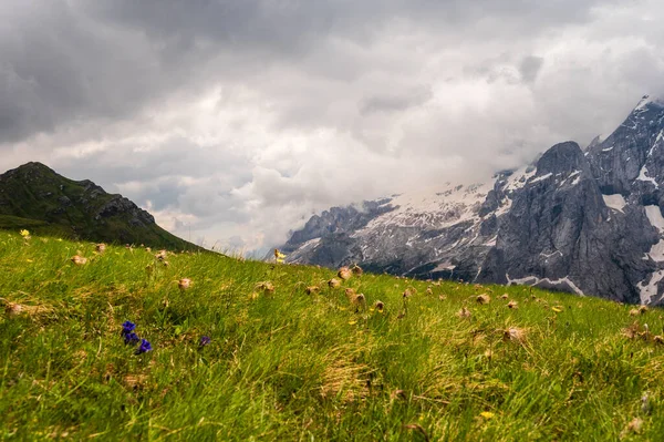 Krásná Malebná Krajina Alp Passo San Pellegrino Severní Itálie — Stock fotografie