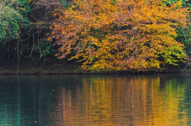 Naviglio kanalı Adda Nehri boyunca