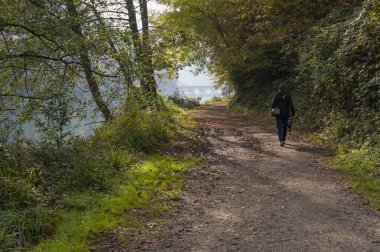 Sonbahar renkli ormanlarda yol