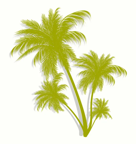 Palmbomen in contouren — Stockvector