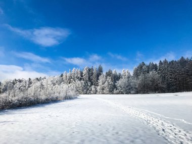 Kışın Çek Karlı Kırsal Bölgesi