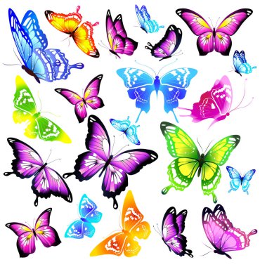 Beyaz arka planda yalıtılmış, parlak renkli kelebekler uçuşuyor. 