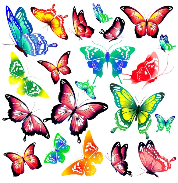 Яркие Красочные Бабочки Летят Изолированные Белом Фоне Весенняя Концепция — стоковое фото