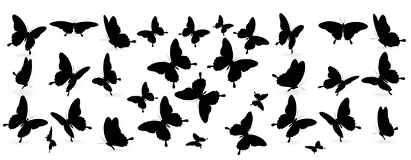 Conjunto Mariposas Negras Aisladas Sobre Fondo Blanco Concepto Verano — Foto de Stock
