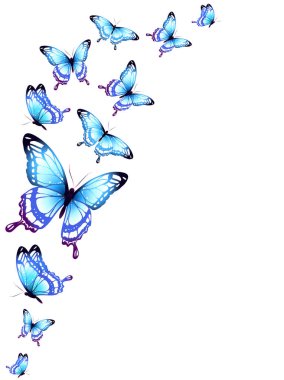 Beyaz arka planda izole edilmiş güzel renkli kelebekler.