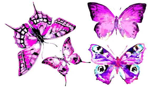 美丽的五彩斑斓的蝴蝶在白色的背景上与世隔绝 — 图库矢量图片