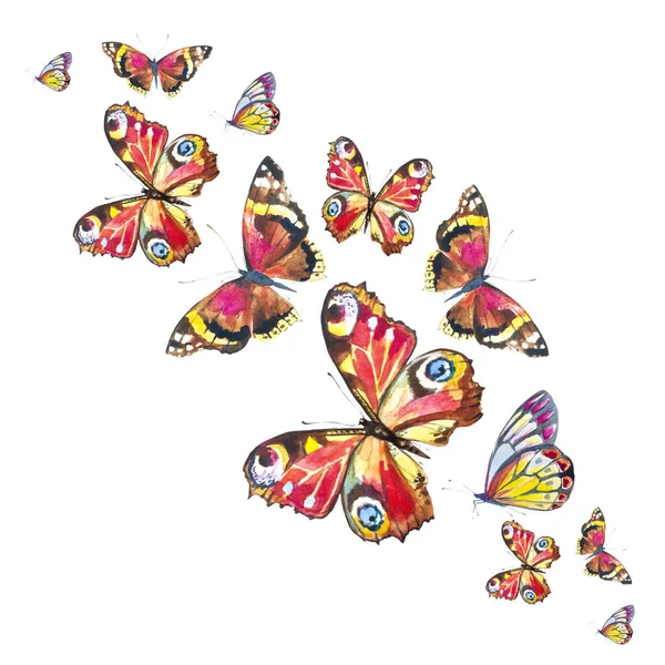 Vacker Färgglada Fjärilar Isolerad Vit Bakgrund — Stockfoto
