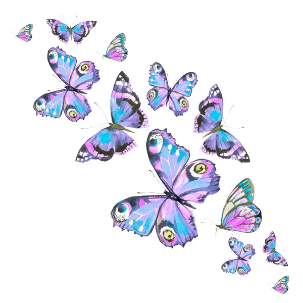 Beautiful Colorful Butterflies Isolated White Background — Stock Photo, Image