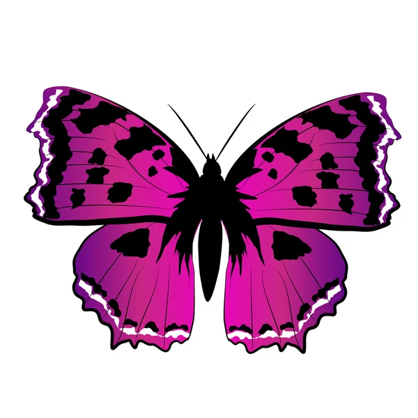 Дизайн бабочек — стоковое фото
