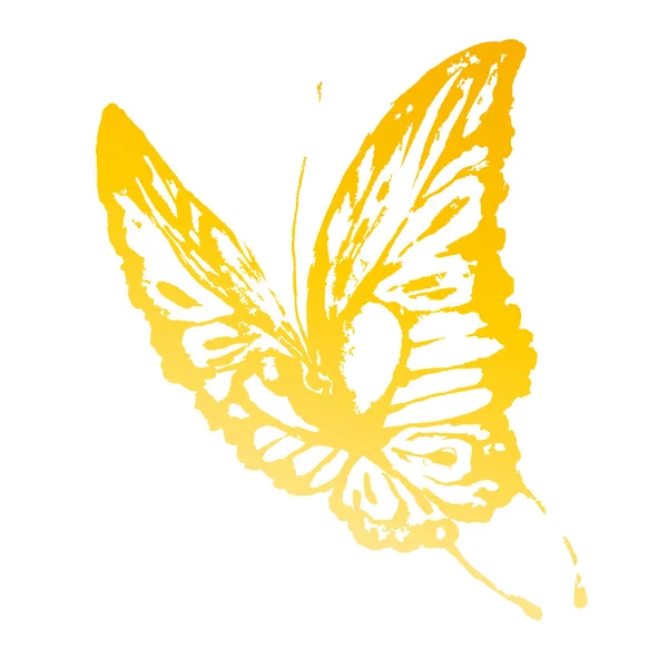 Butterflies design — Stock Photo, Image